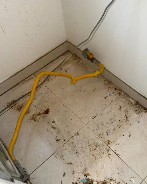 Before: tiled floor corner behind an appliance with scattered dirt and debris around a yellow hose.